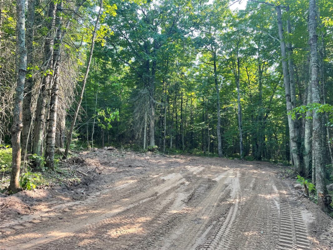 Lot 4 Uncle Toms Road, Loretta WI 54896 - Land house for sale - MLS #1603743 - image7