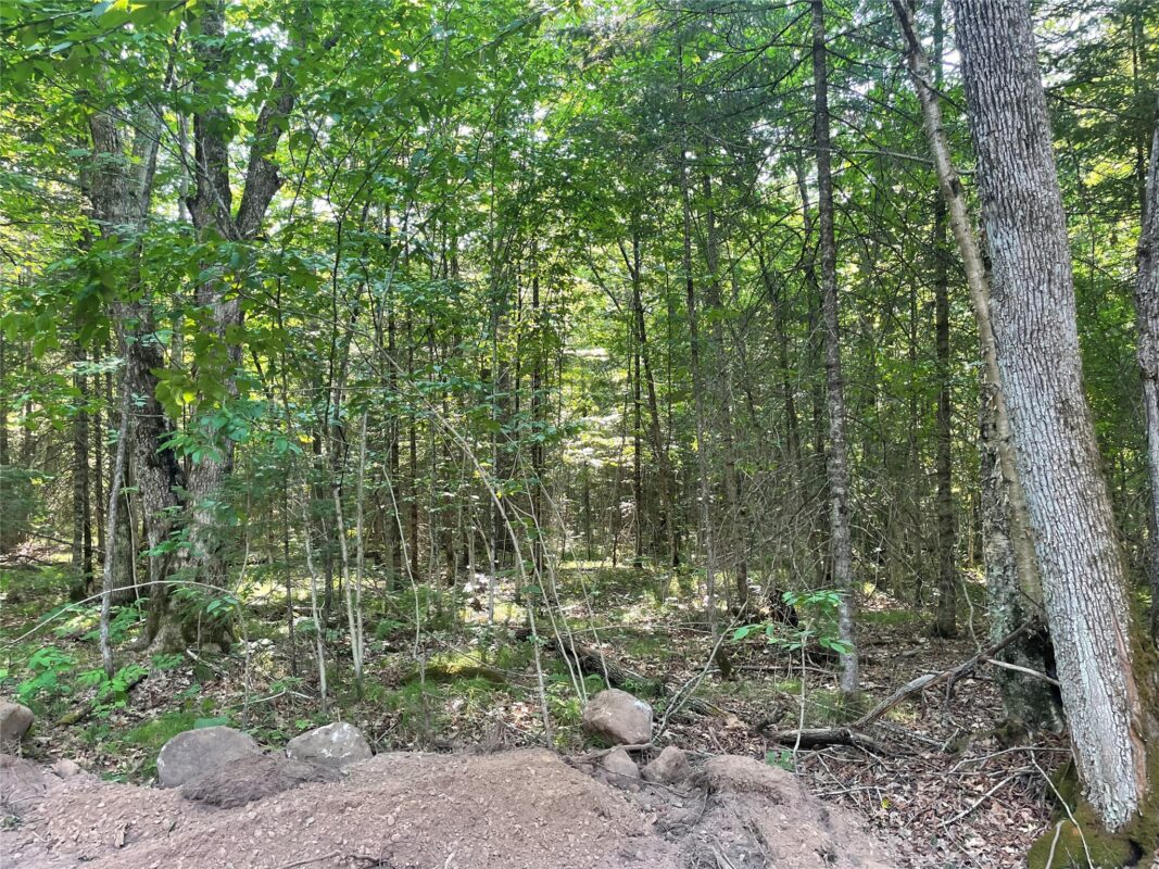 Lot 4 Uncle Toms Road, Loretta WI 54896 - Land house for sale - MLS #1603743 - image8