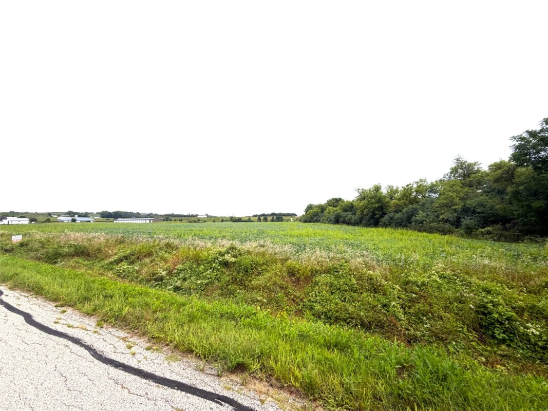 Lot 4 Van Tassel Rd, Osseo WI 54758 - Land house for sale - MLS #1604189 - image3