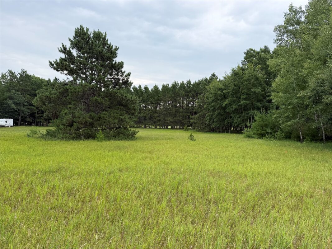 Lot 43 Hanscom Lake Trail Way, Danbury WI 54830 - Land house for sale - MLS #1603573 - image2