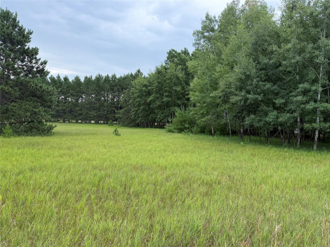 Lot 43 Hanscom Lake Trail Way, Danbury WI 54830 - Land house for sale - MLS #1603573 - image3