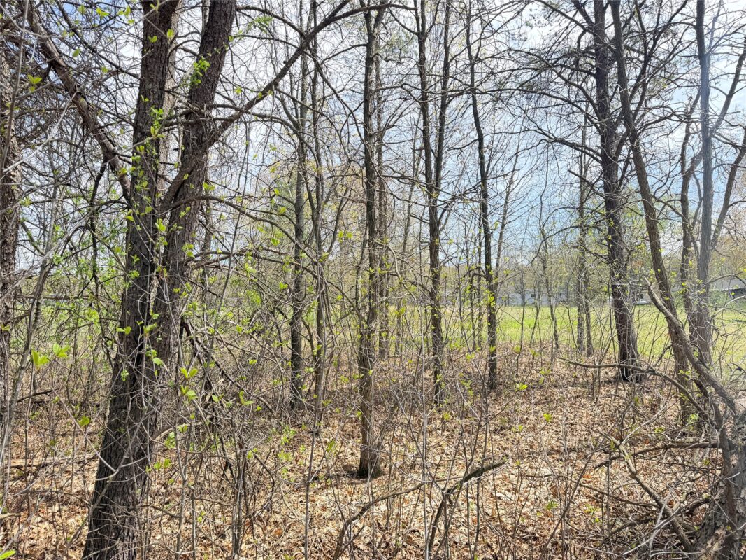 Lot 5 27th Court, Chippewa Falls WI 54729 - Land house for sale - MLS #1590491 - image9
