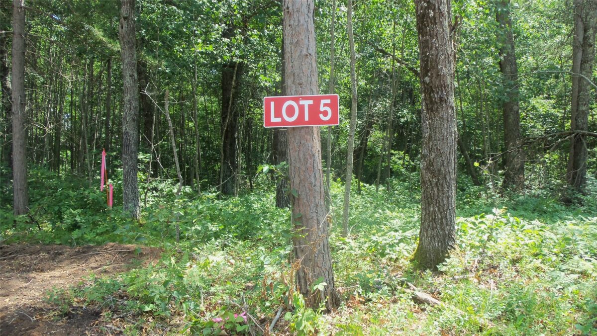 Lot 5 Birch Tree Trl, Spooner WI 54801 - Land house for sale - MLS #1603815 - image2