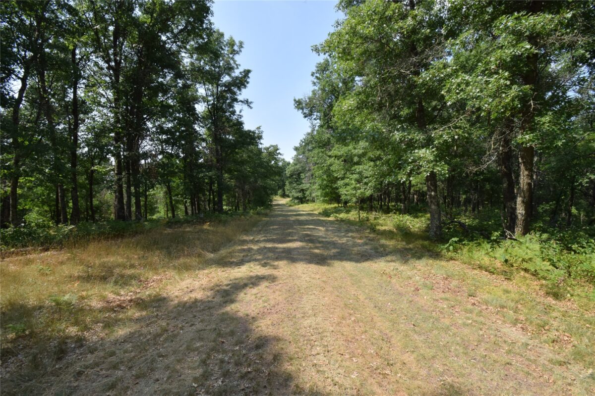 Lot 5 South Point Trail, Danbury WI 54830 - Land house for sale - MLS #1604096 - image11