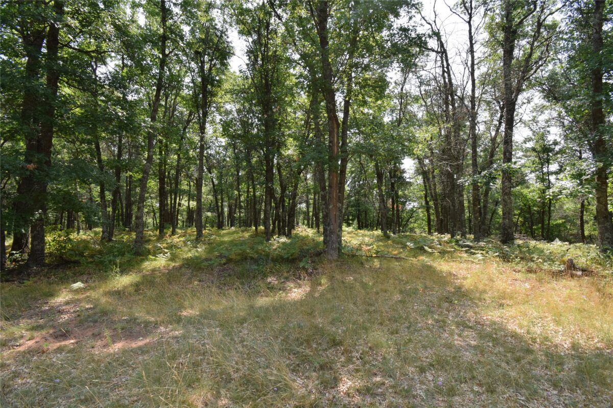 Lot 5 South Point Trail, Danbury WI 54830 - Land house for sale - MLS #1604096 - image12