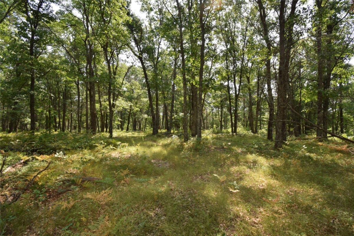 Lot 5 South Point Trail, Danbury WI 54830 - Land house for sale - MLS #1604096 - image13