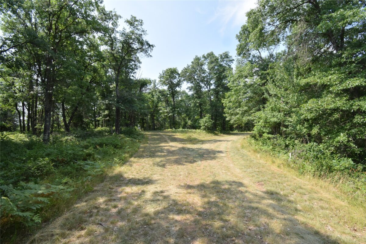 Lot 5 South Point Trail, Danbury WI 54830 - Land house for sale - MLS #1604096 - image15