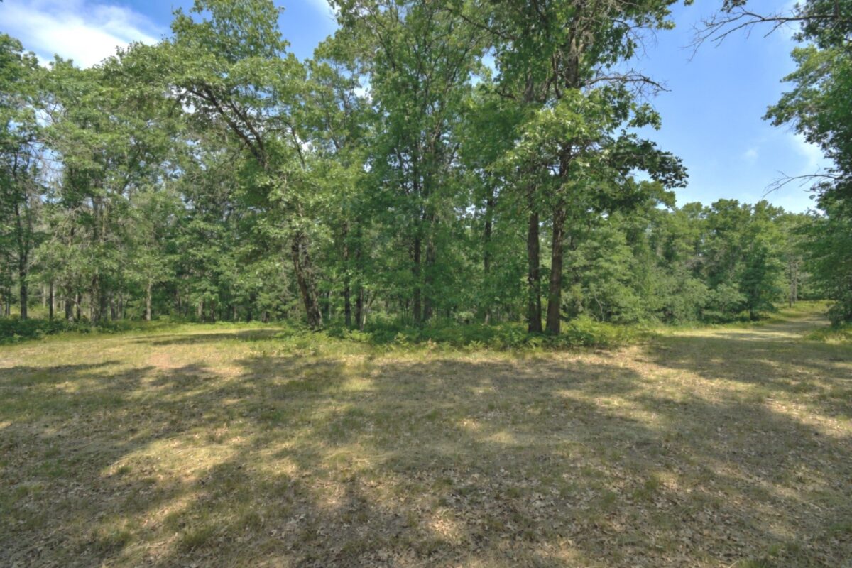 Lot 5 South Point Trail, Danbury WI 54830 - Land house for sale - MLS #1604096 - image17