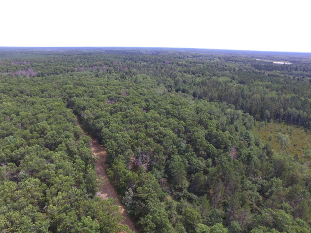Lot 5 South Point Trail, Danbury WI 54830 - Land house for sale - MLS #1604096 - image18