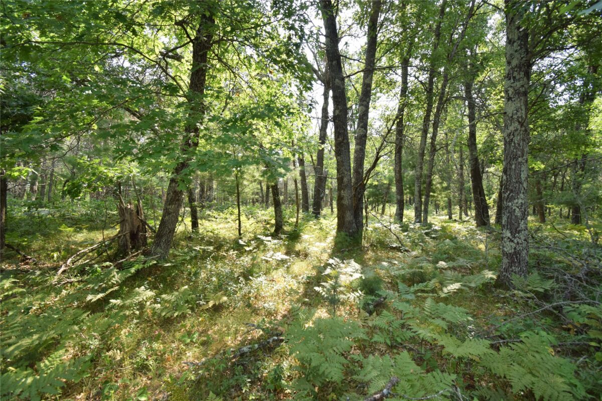 Lot 5 South Point Trail, Danbury WI 54830 - Land house for sale - MLS #1604096 - image3