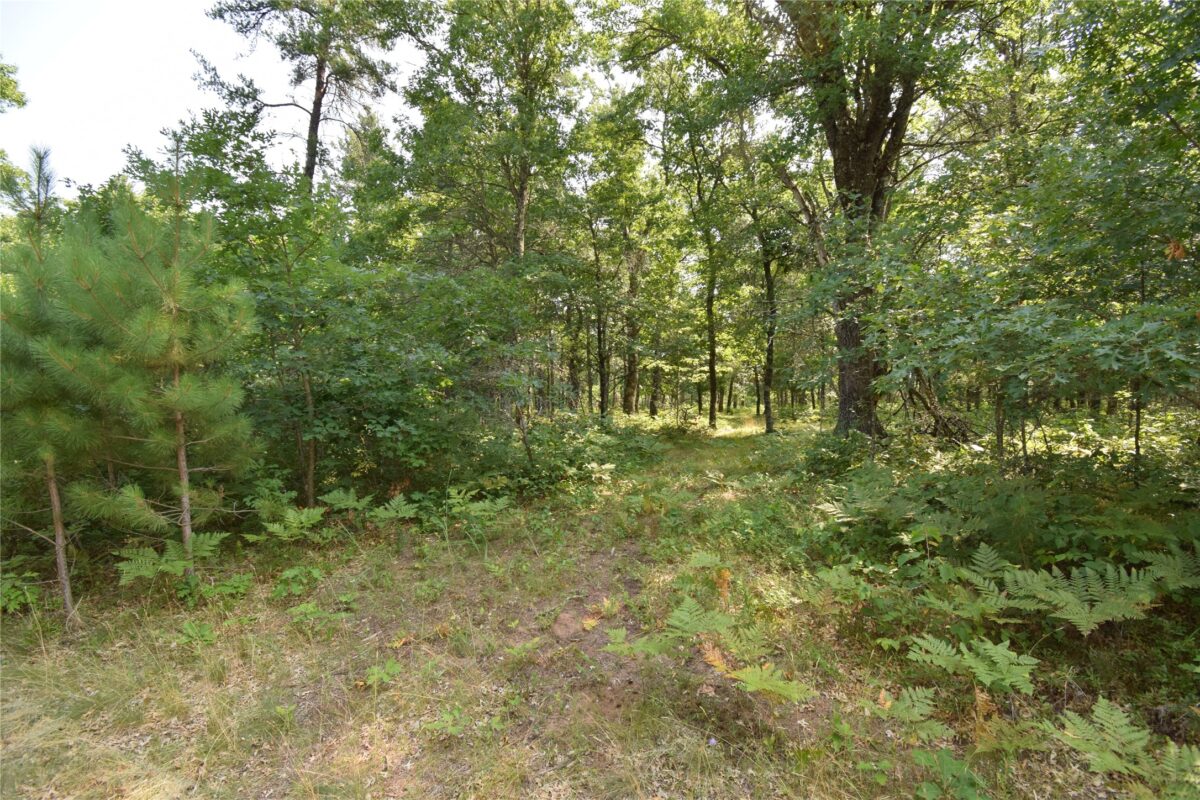 Lot 5 South Point Trail, Danbury WI 54830 - Land house for sale - MLS #1604096 - image4