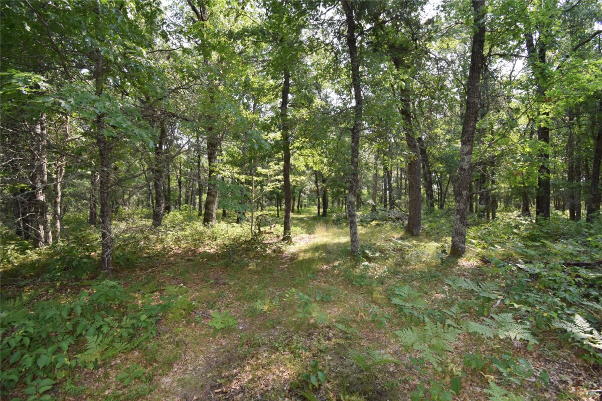 Lot 5 South Point Trail, Danbury WI 54830 - Land house for sale - MLS #1604096 - image6