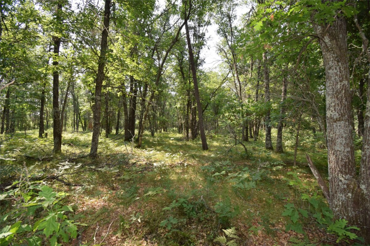 Lot 5 South Point Trail, Danbury WI 54830 - Land house for sale - MLS #1604096 - image7