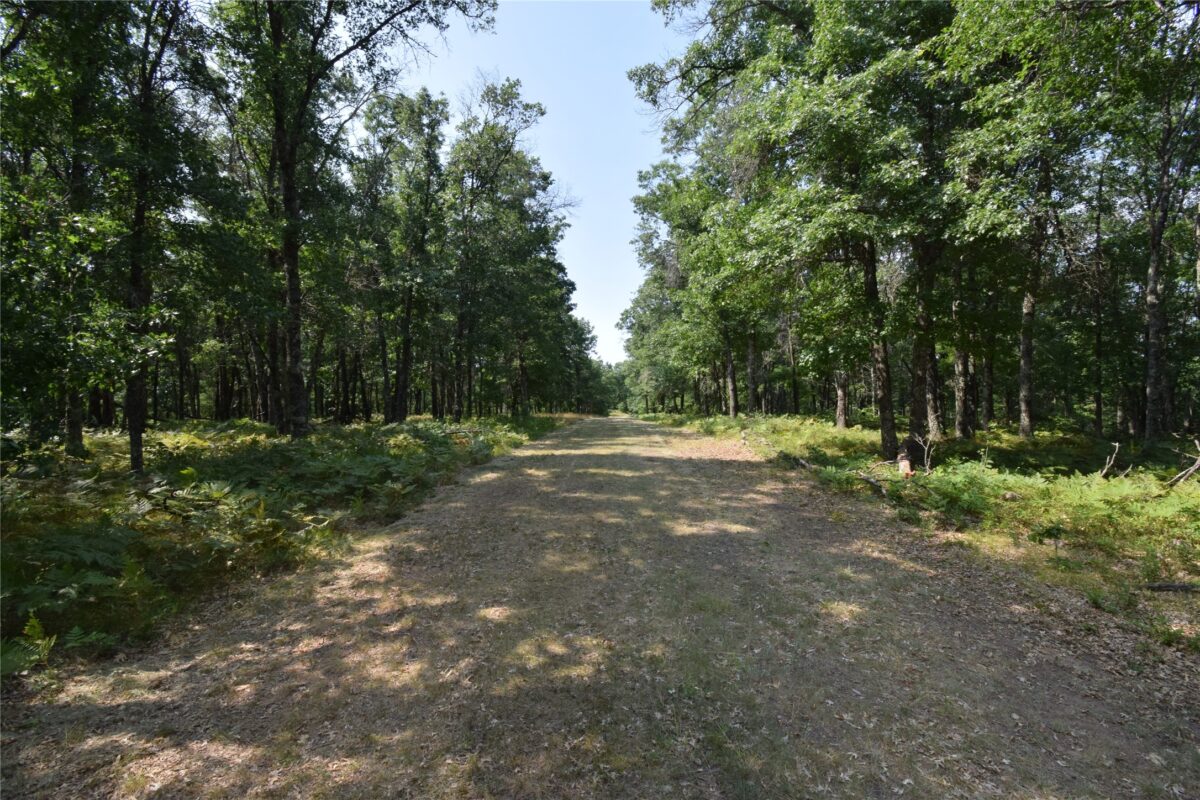 Lot 5 South Point Trail, Danbury WI 54830 - Land house for sale - MLS #1604096 - image8