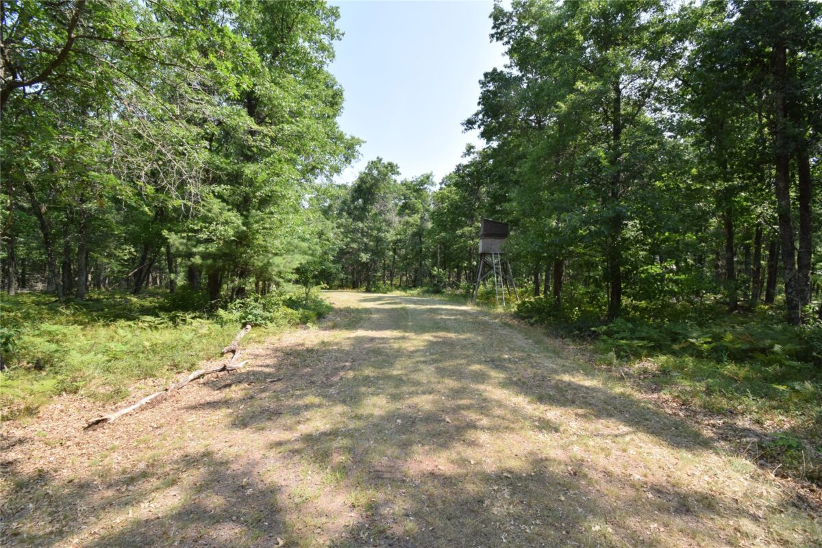 Lot 5 South Point Trail, Danbury WI 54830 - Land house for sale - MLS #1604096 - image9