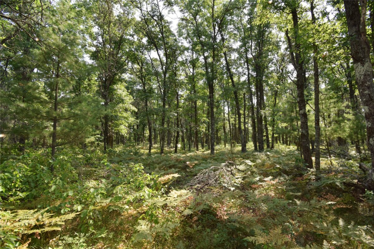 Lot 5 South Point Trail, Danbury WI 54830 - Land house for sale - MLS #1604096 - image10