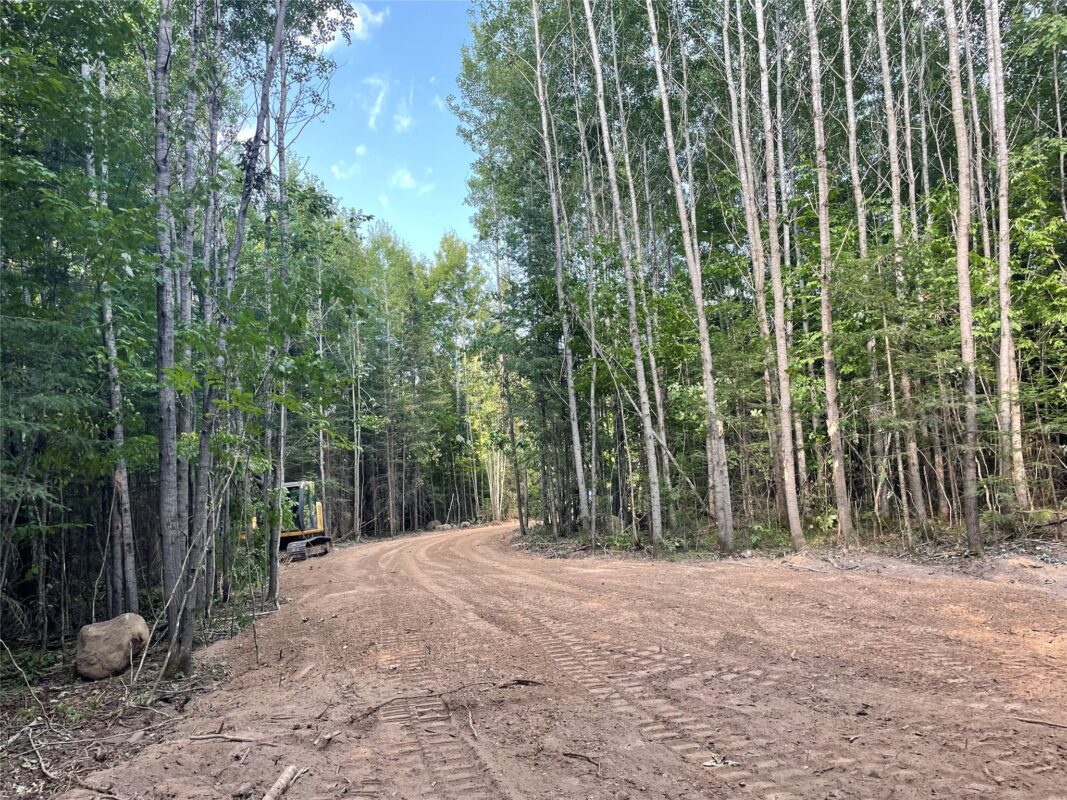 Lot 6 Uncle Toms Road, Loretta WI 54896 - Land house for sale - MLS #1603742 - image11