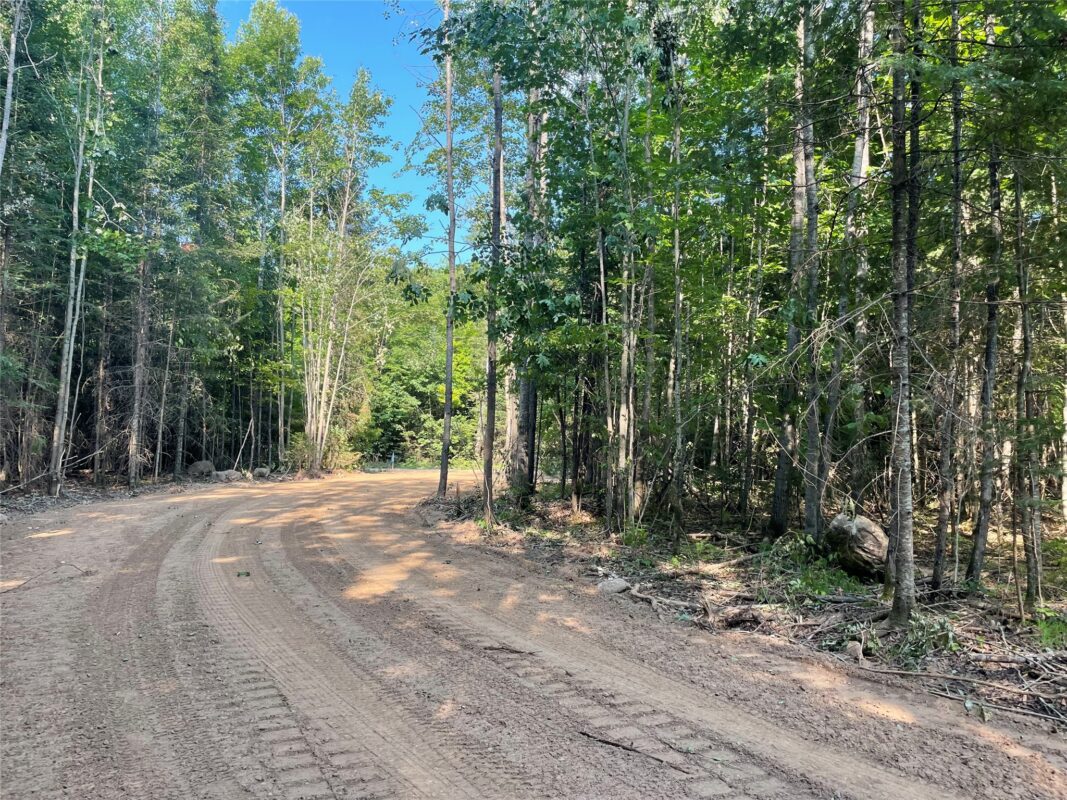 Lot 6 Uncle Toms Road, Loretta WI 54896 - Land house for sale - MLS #1603742 - image13