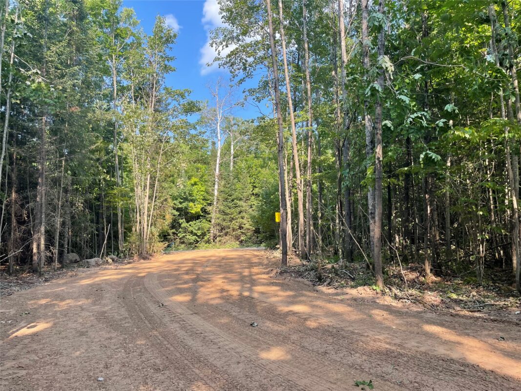 Lot 6 Uncle Toms Road, Loretta WI 54896 - Land house for sale - MLS #1603742 - image14
