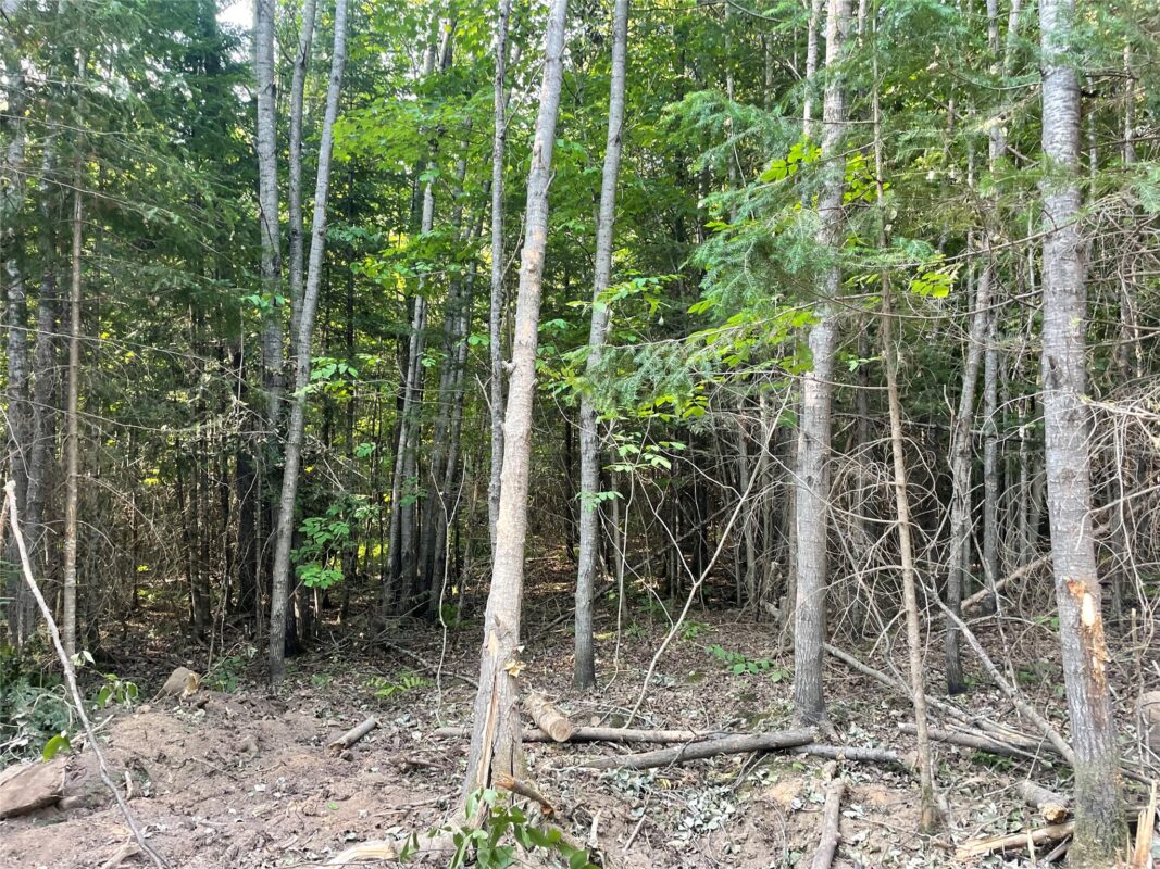 Lot 6 Uncle Toms Road, Loretta WI 54896 - Land house for sale - MLS #1603742 - image16