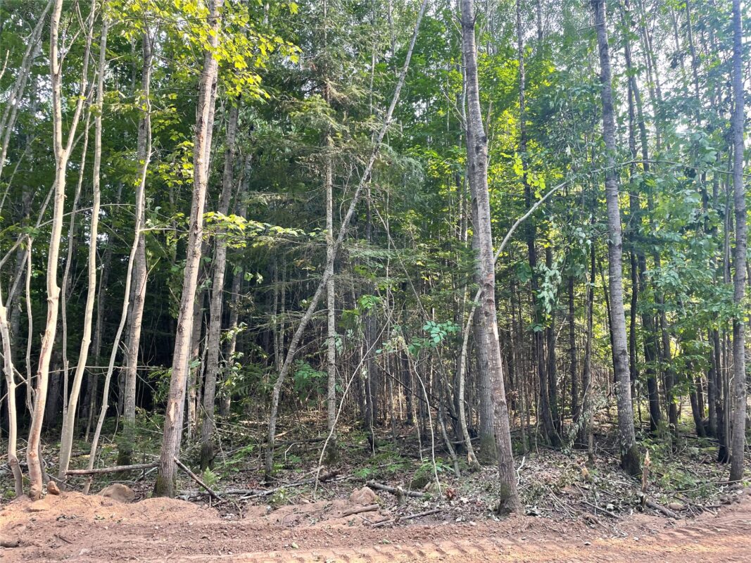 Lot 6 Uncle Toms Road, Loretta WI 54896 - Land house for sale - MLS #1603742 - image17