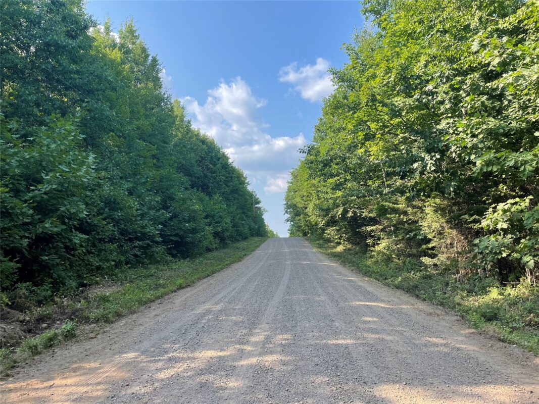 Lot 6 Uncle Toms Road, Loretta WI 54896 - Land house for sale - MLS #1603742 - image18