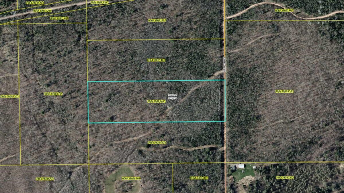 Lot 6 Uncle Toms Road, Loretta WI 54896 - Land house for sale - MLS #1603742 - image19