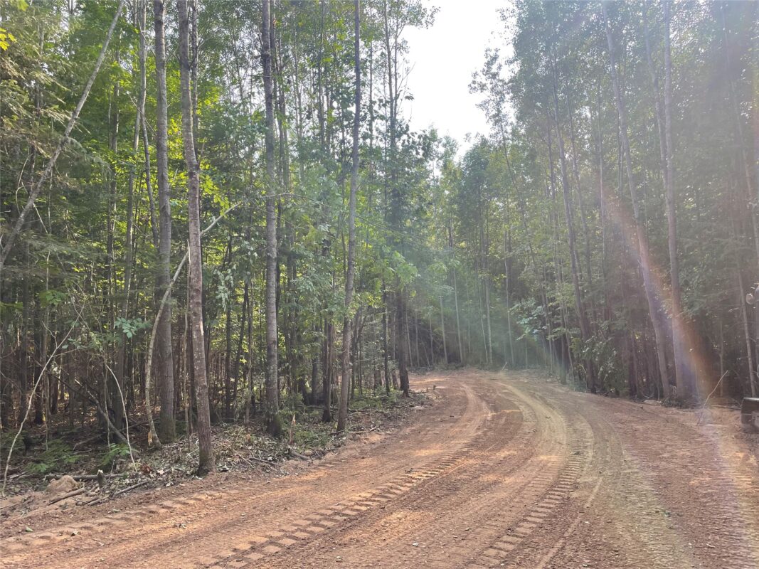 Lot 6 Uncle Toms Road, Loretta WI 54896 - Land house for sale - MLS #1603742 - image3