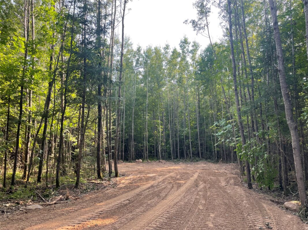 Lot 6 Uncle Toms Road, Loretta WI 54896 - Land house for sale - MLS #1603742 - image4