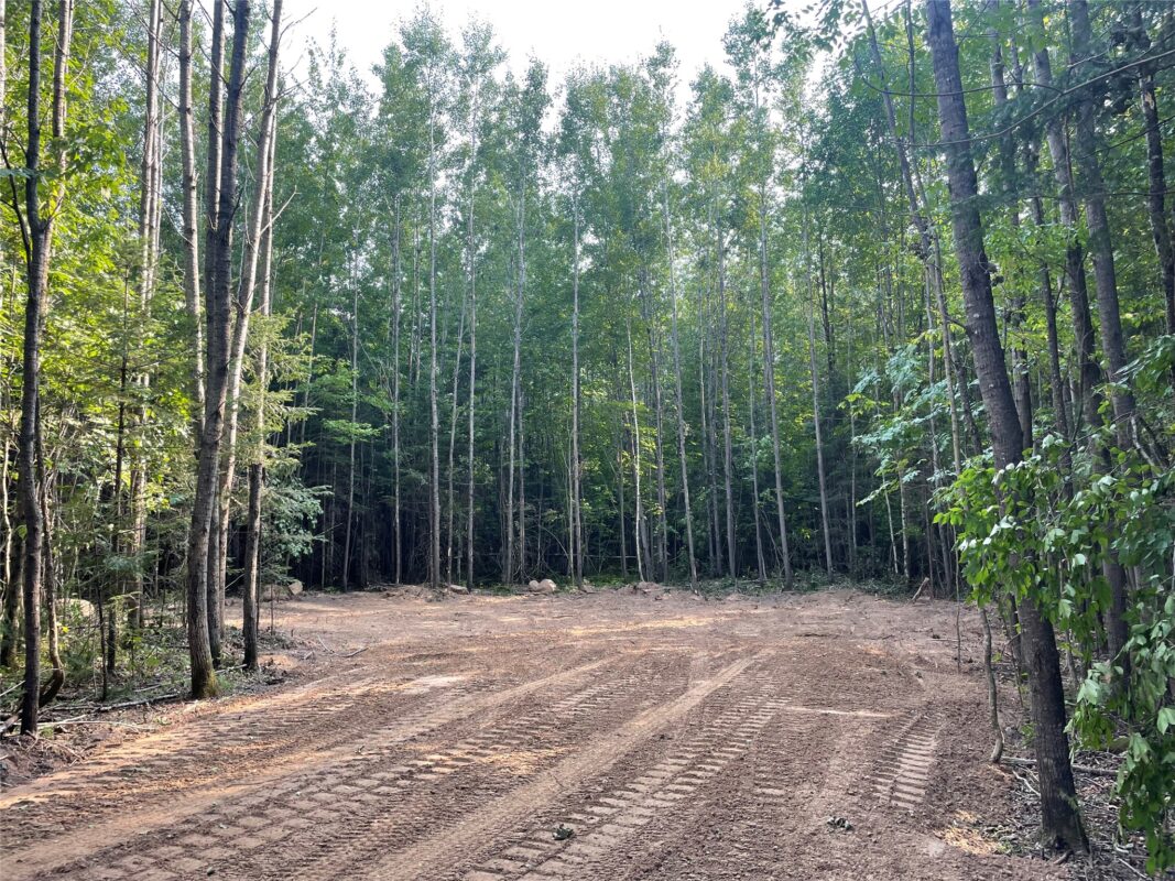 Lot 6 Uncle Toms Road, Loretta WI 54896 - Land house for sale - MLS #1603742 - image5