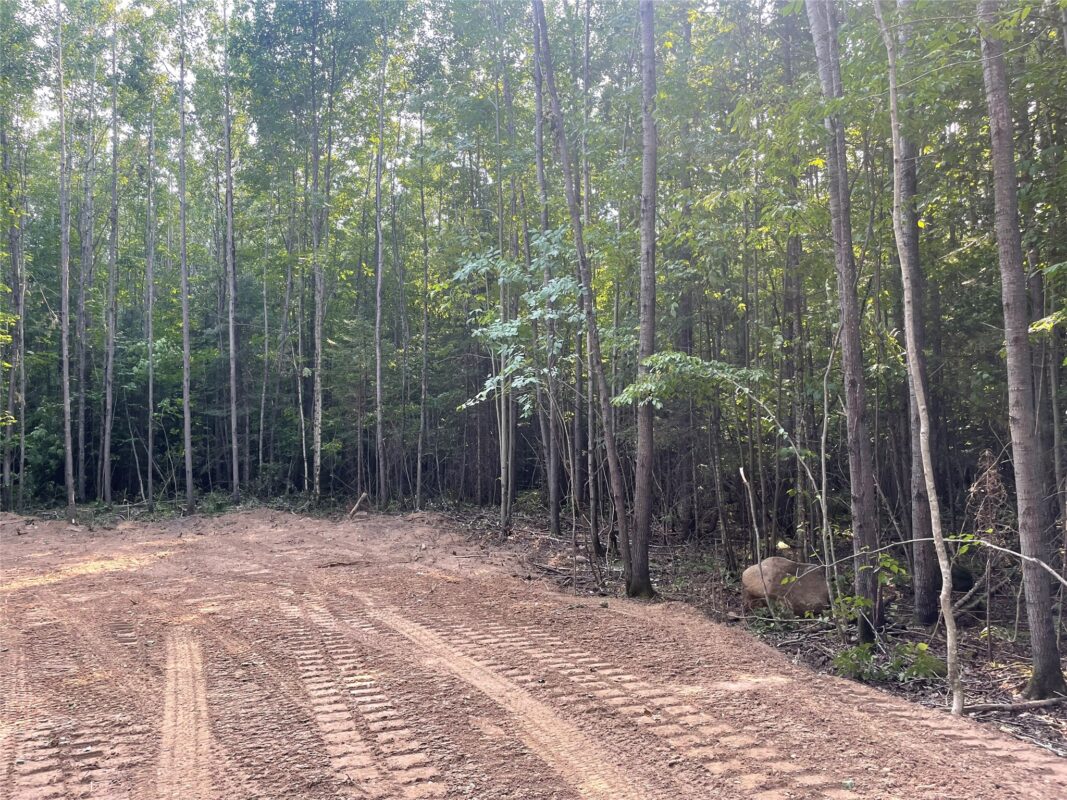 Lot 6 Uncle Toms Road, Loretta WI 54896 - Land house for sale - MLS #1603742 - image6