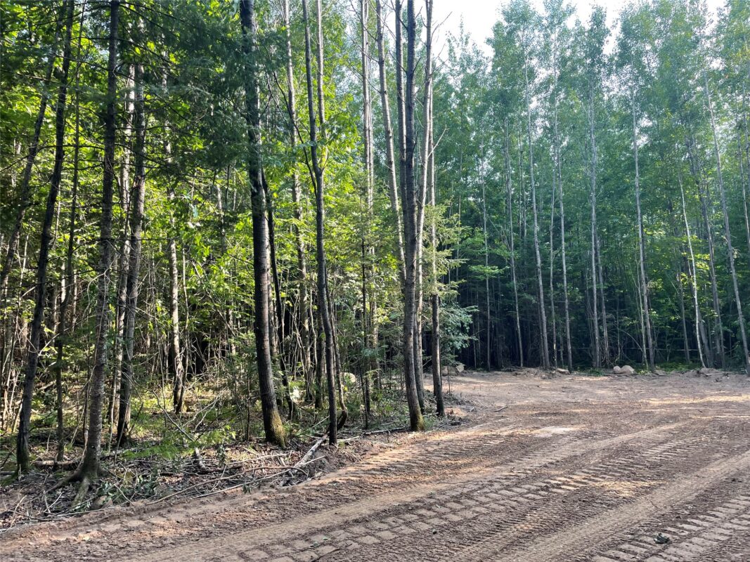 Lot 6 Uncle Toms Road, Loretta WI 54896 - Land house for sale - MLS #1603742 - image7