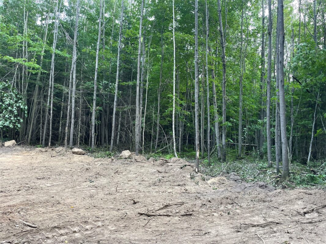 Lot 6 Uncle Toms Road, Loretta WI 54896 - Land house for sale - MLS #1603742 - image8