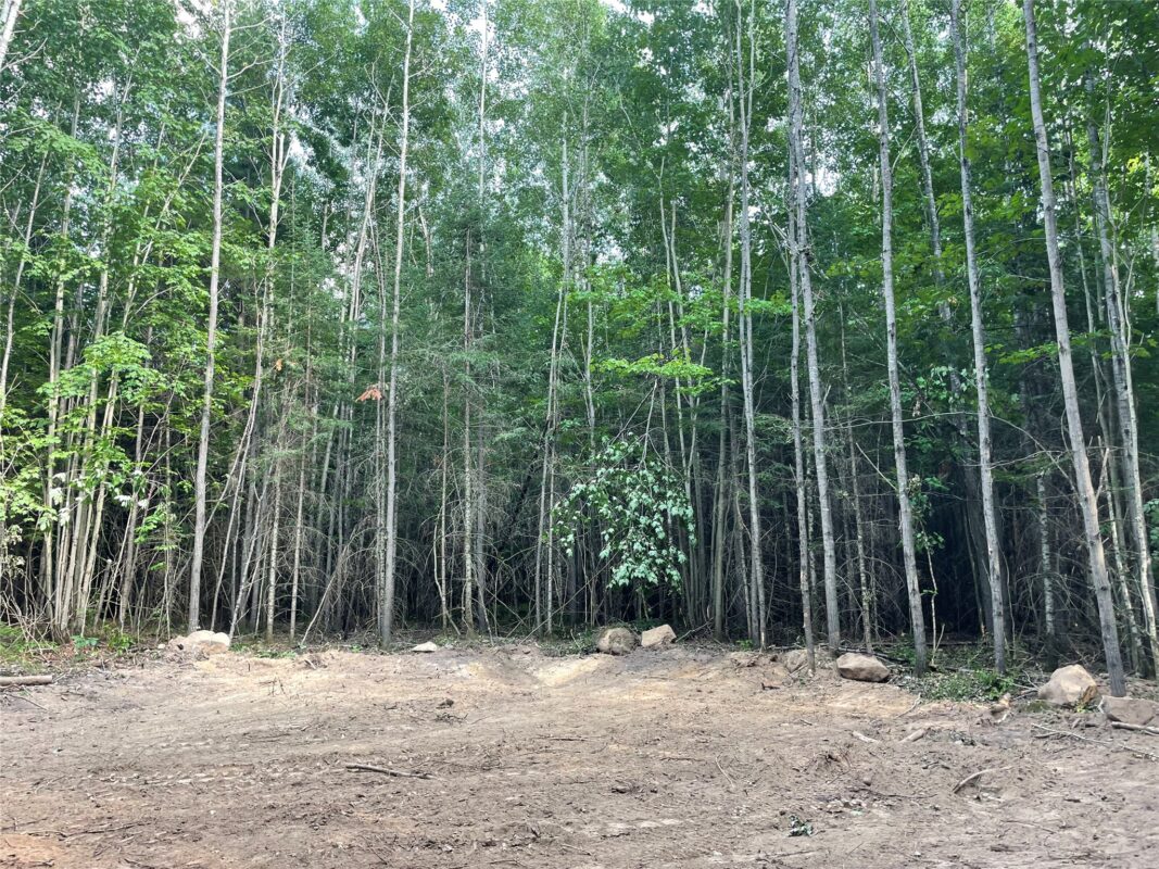 Lot 6 Uncle Toms Road, Loretta WI 54896 - Land house for sale - MLS #1603742 - image9