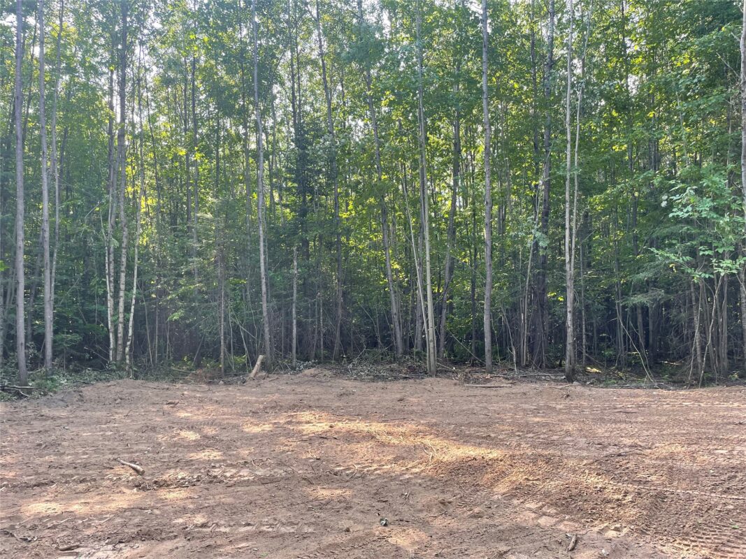Lot 6 Uncle Toms Road, Loretta WI 54896 - Land house for sale - MLS #1603742 - image10