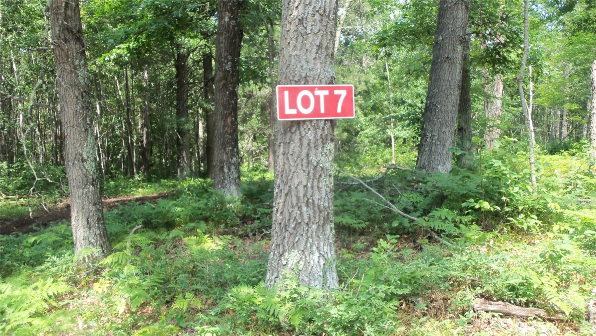 Lot 7 Birch Tree Trl, Spooner WI 54801 - Land house for sale - MLS #1603817 - image2