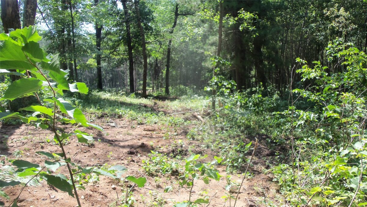 Lot 7 Birch Tree Trl, Spooner WI 54801 - Land house for sale - MLS #1603817 - image8