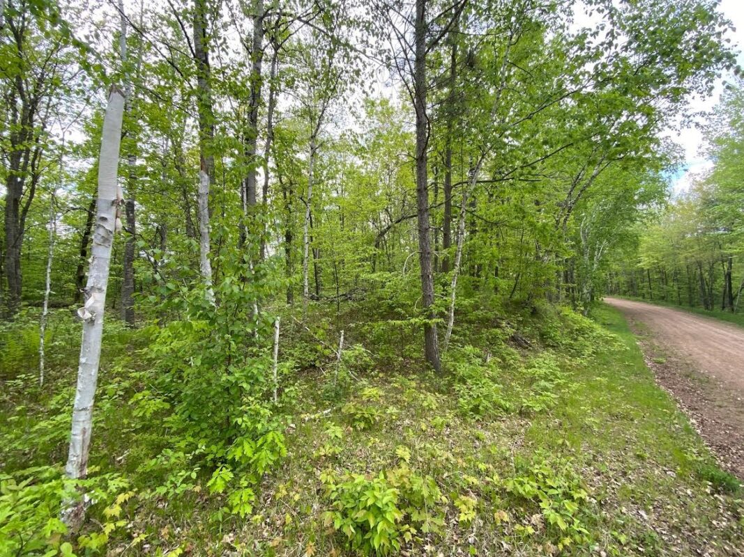 Lot 9 Hustvet Drive, Trego WI 54888 - Land house for sale - MLS #1601916 - image2