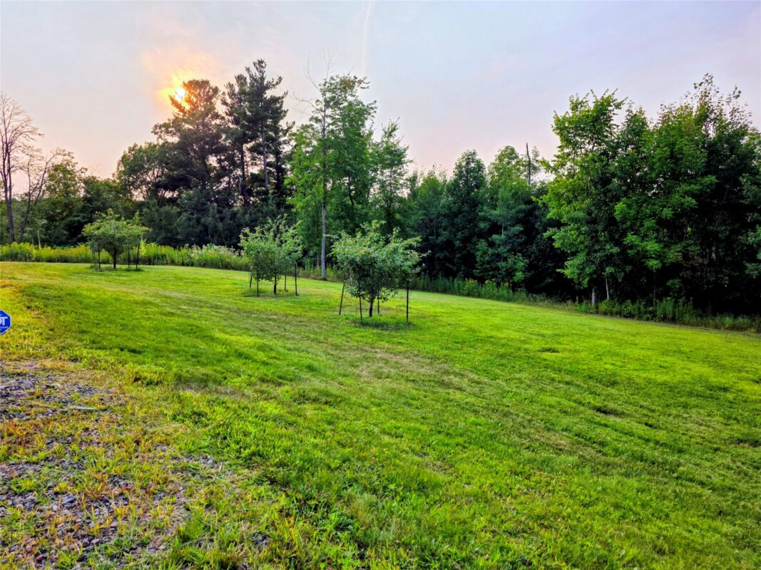 N 1335 Pine Grove Road, Sarona WI 54870 - Residential house for sale - MLS #1604117 - image46