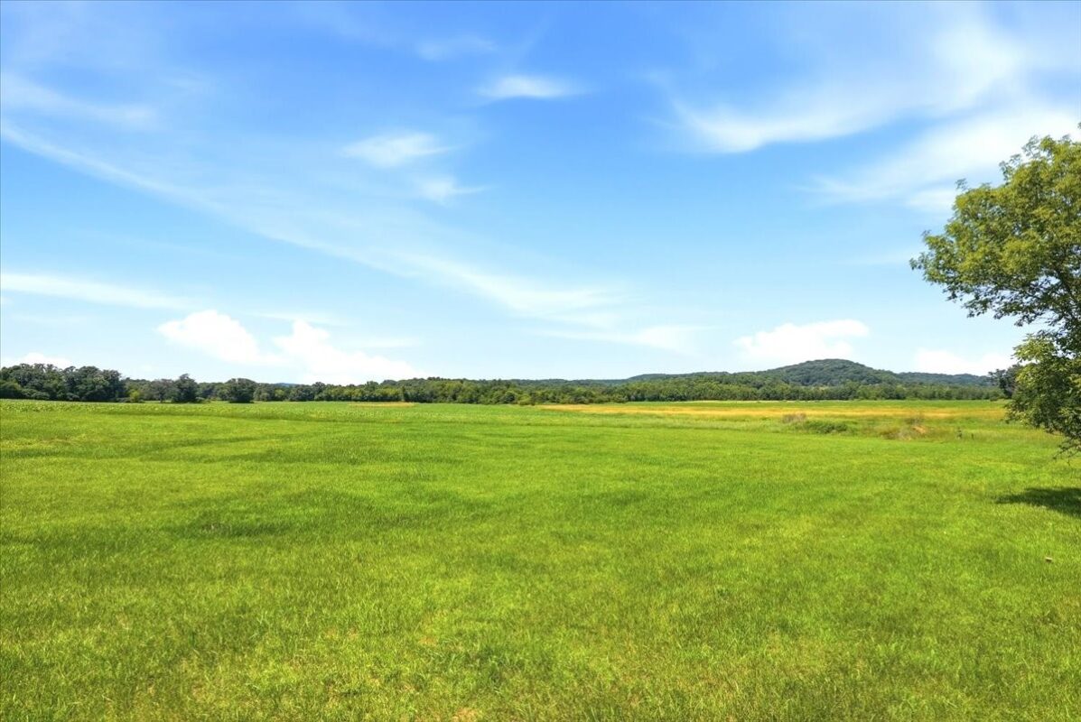 N1405 County Road Z, Eau Galle WI 54737 - Land house for sale - MLS #1603985 - image22