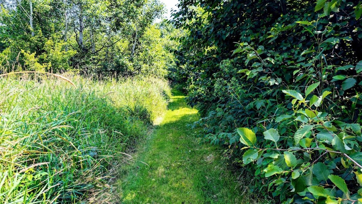 N2438 State Highway 27, Conrath WI 54731 - Residential house for sale - MLS #1603765 - image38