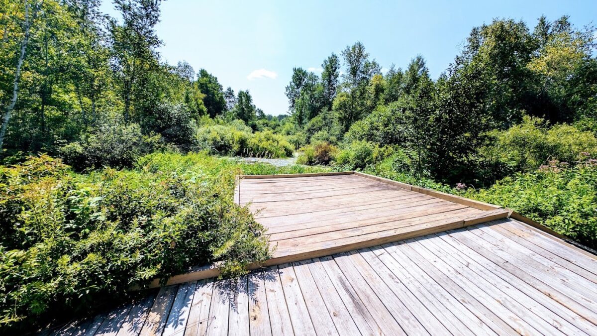 N2438 State Highway 27, Conrath WI 54731 - Residential house for sale - MLS #1603765 - image40