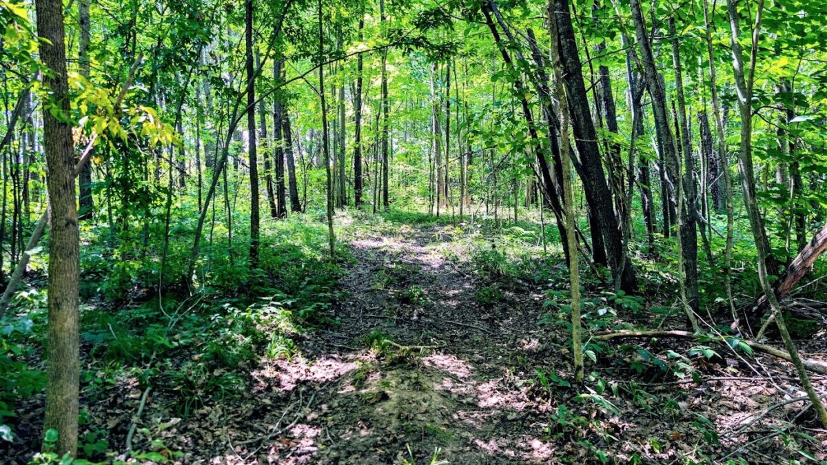 N2438 State Highway 27, Conrath WI 54731 - Residential house for sale - MLS #1603765 - image44