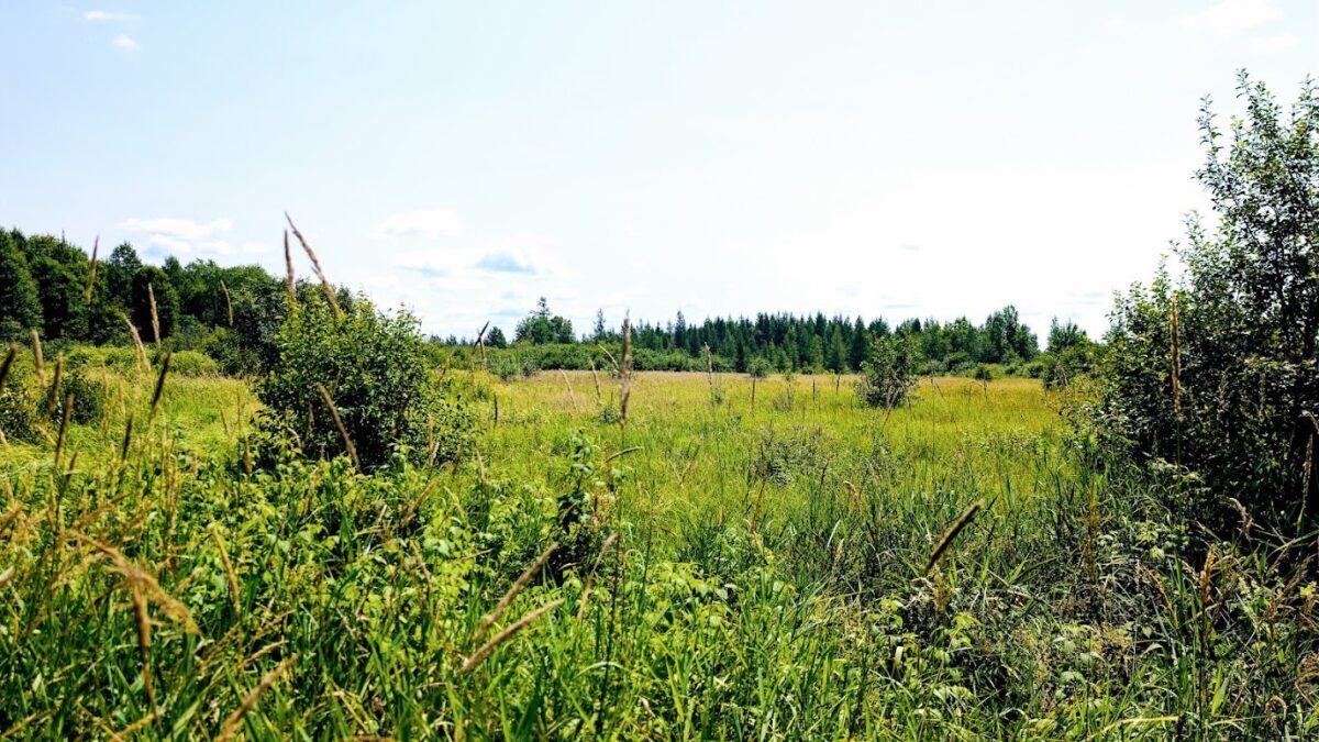 N2438 State Highway 27, Conrath WI 54731 - Residential house for sale - MLS #1603765 - image46
