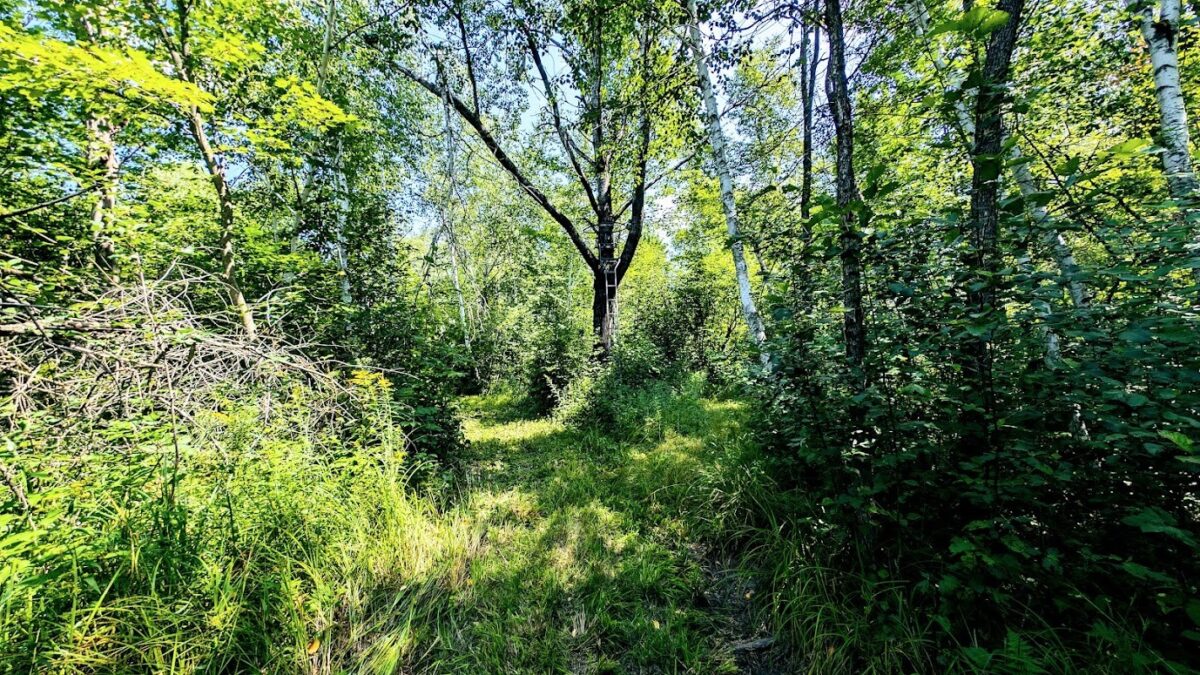 N2438 State Highway 27, Conrath WI 54731 - Residential house for sale - MLS #1603765 - image52