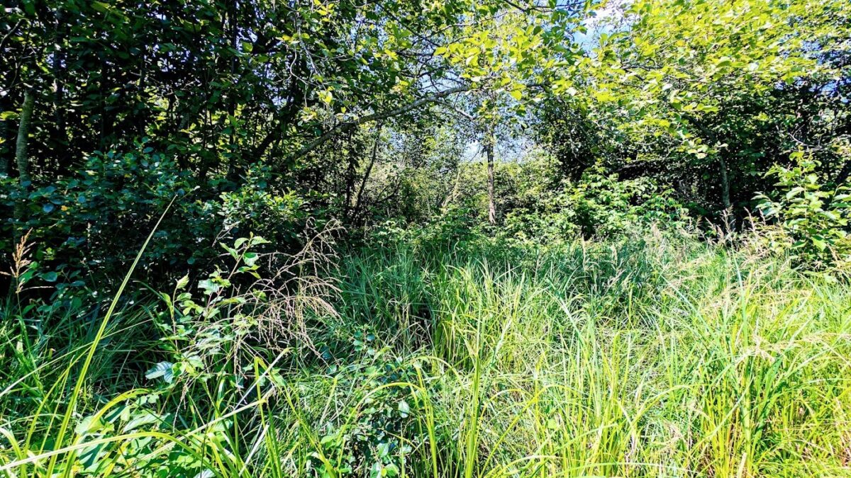N2438 State Highway 27, Conrath WI 54731 - Residential house for sale - MLS #1603765 - image53