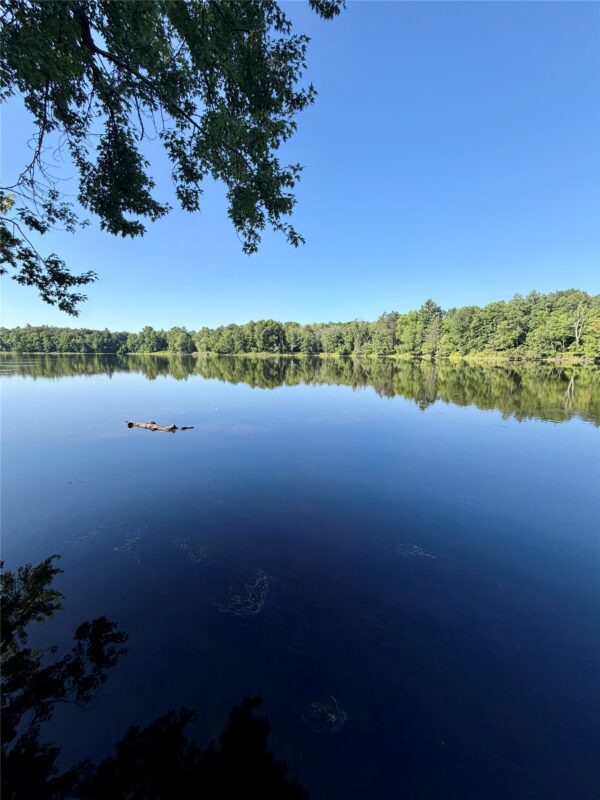 N2595 Flambeau River Lane, Ladysmith WI 54848 - Residential house for sale - MLS #1603823 - image27