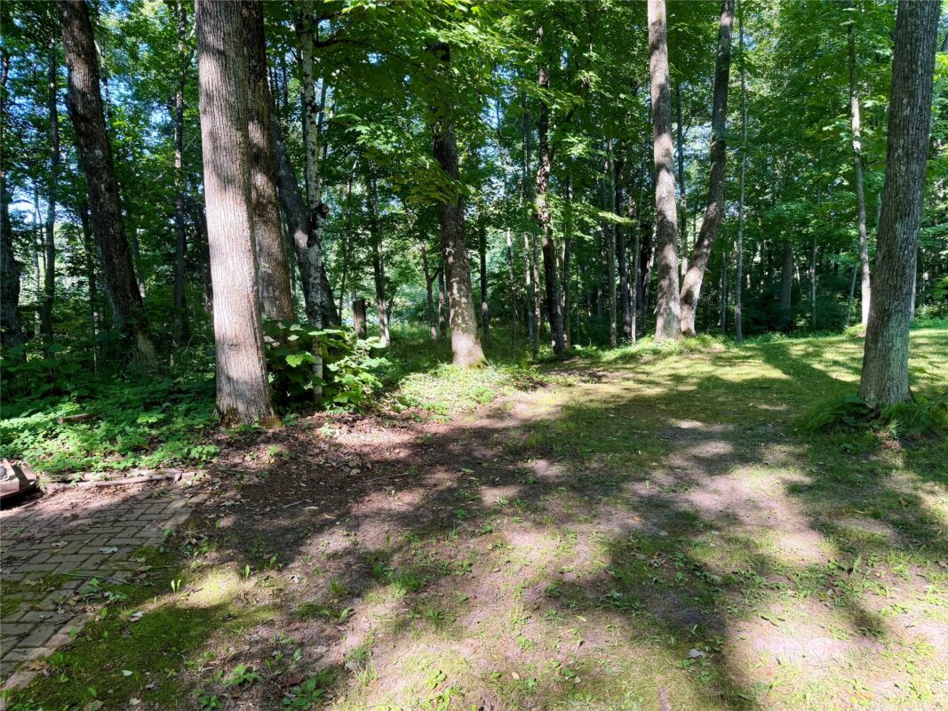 N2595 Flambeau River Lane, Ladysmith WI 54848 - Residential house for sale - MLS #1603823 - image38