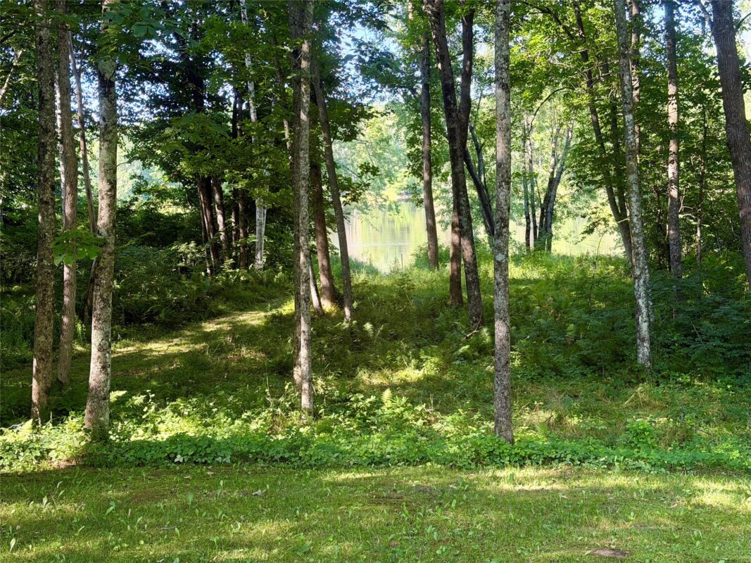 N2595 Flambeau River Lane, Ladysmith WI 54848 - Residential house for sale - MLS #1603823 - image41