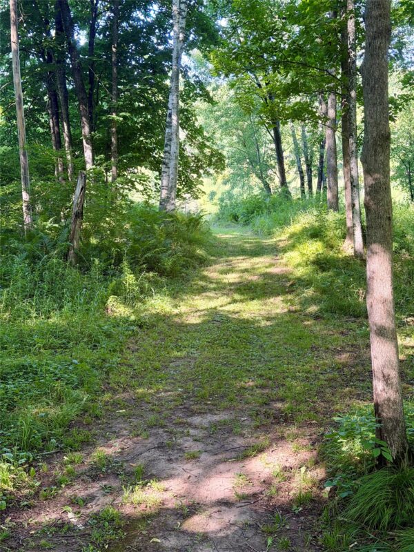 N2595 Flambeau River Lane, Ladysmith WI 54848 - Residential house for sale - MLS #1603823 - image43